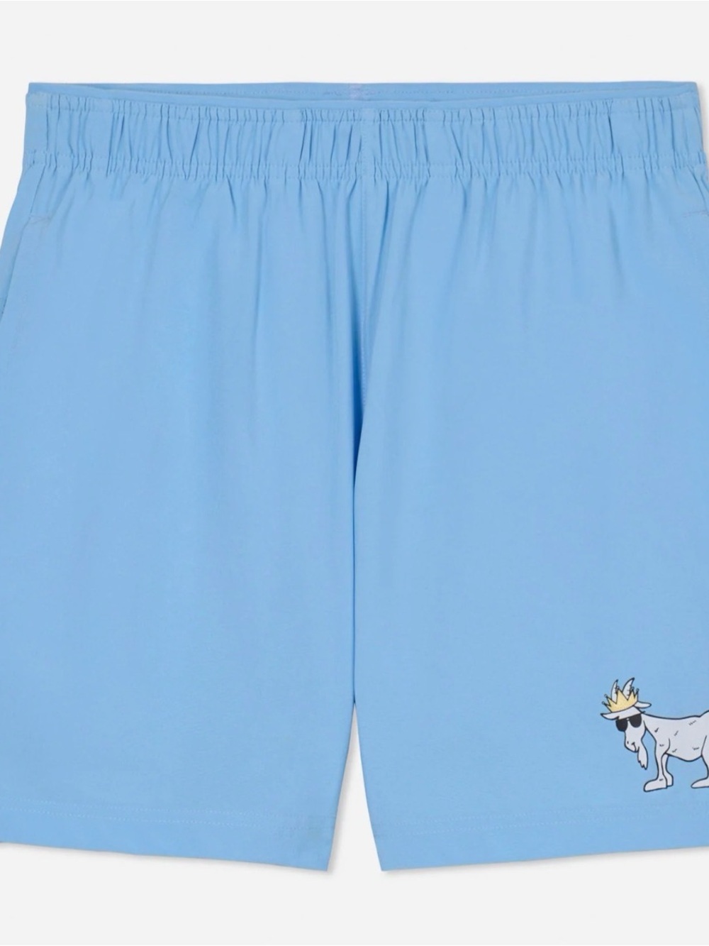 Light Blue Casual Swim/Active Shorts with Novelty Dog Graphic
